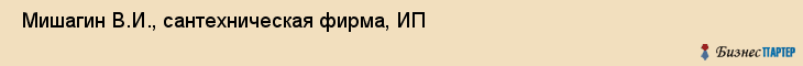  Мишагин В.И., сантехническая фирма, ИП , Пермь