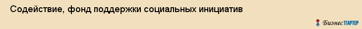  Содействие, фонд поддержки социальных инициатив , Пермь