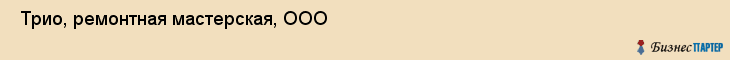  Трио, ремонтная мастерская, ООО , Пермь