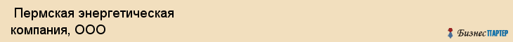  Пермская энергетическая компания, ООО , Пермь