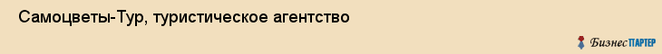  Самоцветы-Тур, туристическое агентство , Пермь