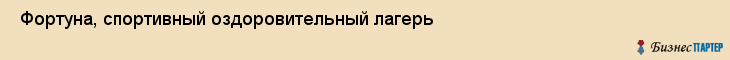  Фортуна, спортивный оздоровительный лагерь , Пермь