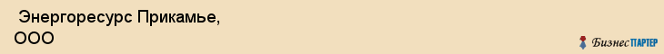  Энергоресурс Прикамье, ООО , Пермь
