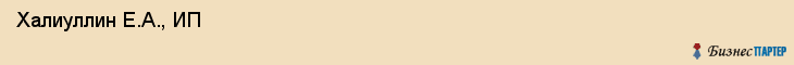  Халиуллин Е.А., ИП , Пермь