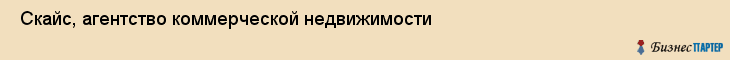  Скайс, агентство коммерческой недвижимости , Пермь