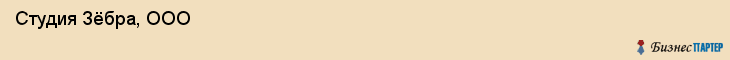  Студия Зёбра, ООО , Пермь
