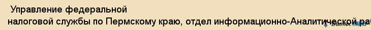  Управление федеральной налоговой службы по Пермскому краю, отдел информационно-Аналитической работы , Пермь