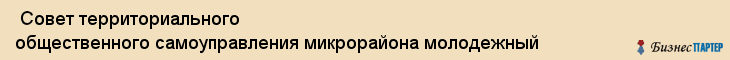  Совет территориального общественного самоуправления микрорайона молодежный , Пермь